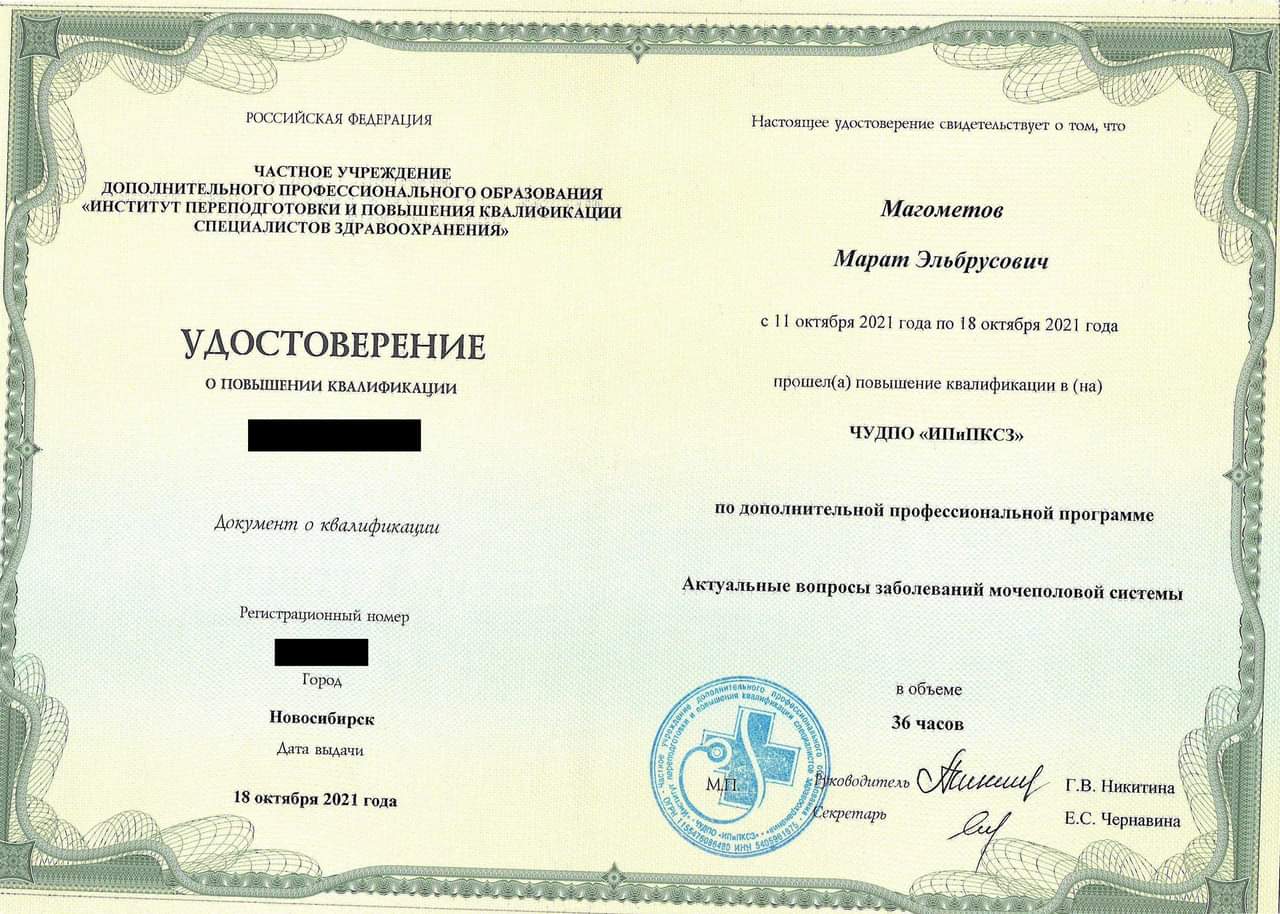 ПК мочеполовая система 2021